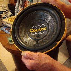 Caustic  Car Speaker
