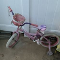 A Nice Bicycle With Training Wheels For The Beginners, With A Little Basket (NO SHIPPING)