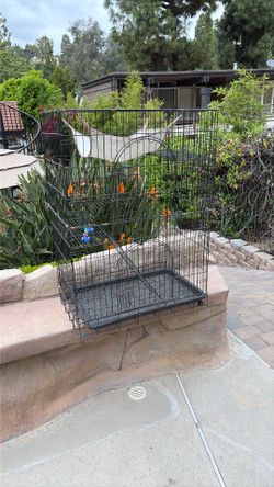 Rabbit / Large Birdcage