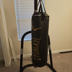 Punching Bag