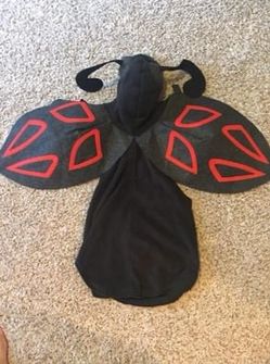 Pottery Barn Beetle Costume