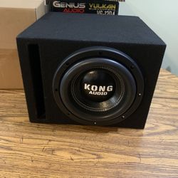 New 10” Kong Audio Subwoofer + New Ported Enclosure 