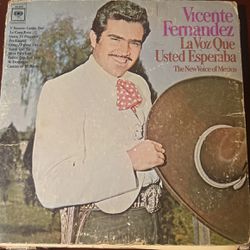 Vicente Fernandez Vynol Record 