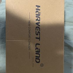 Children Shoe Size 2