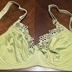 Ladies Bra #4