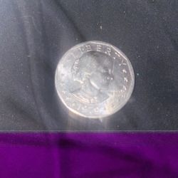 One Dollar Coin 
