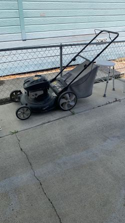 Briggs Stratton