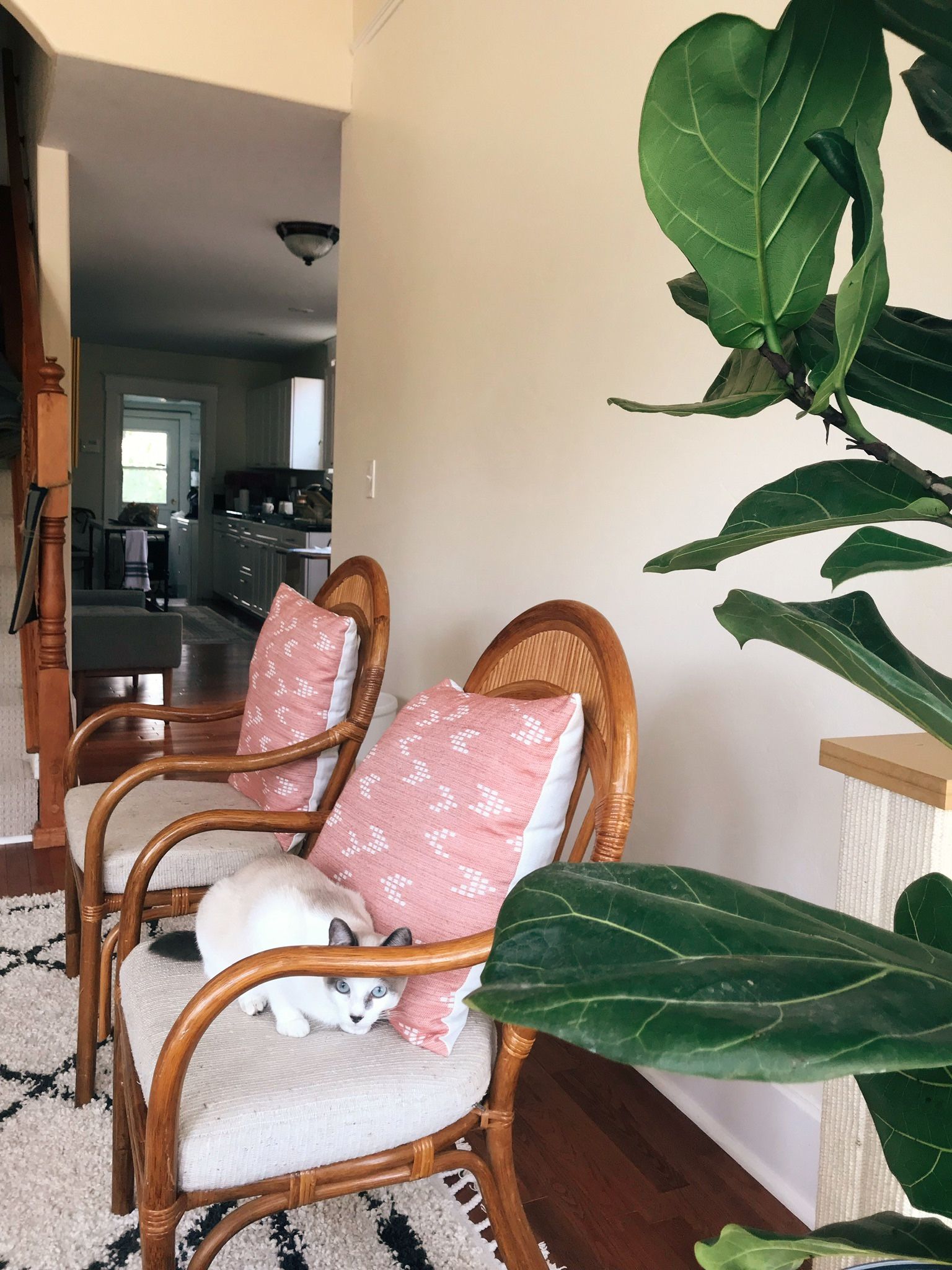 Pair of Vintage Rattan Accent Chairs with Cushions – Boho Coastal Style