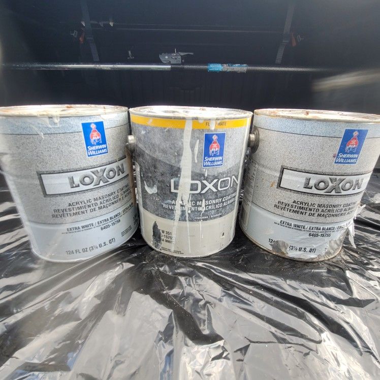 Exterior Loxon Masonary Paint