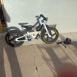 Stacyc 16” Brushless 