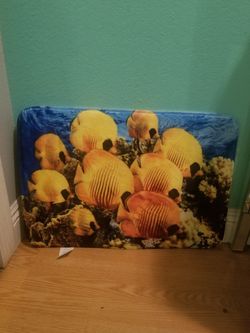 Sea fish bathroom mat rug..size 2ft wide...Like new!