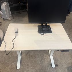 Motorized Sit / Stand Desk 