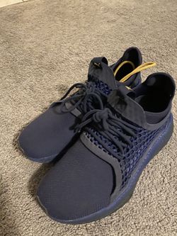 Blue pumas