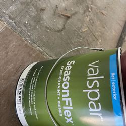 Paint 1gallon