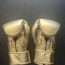 Thanos Boxing Glove 14oz