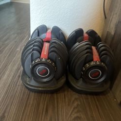 Bowflex Weights 