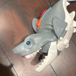 Shark