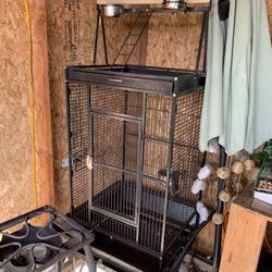 Bird Cage