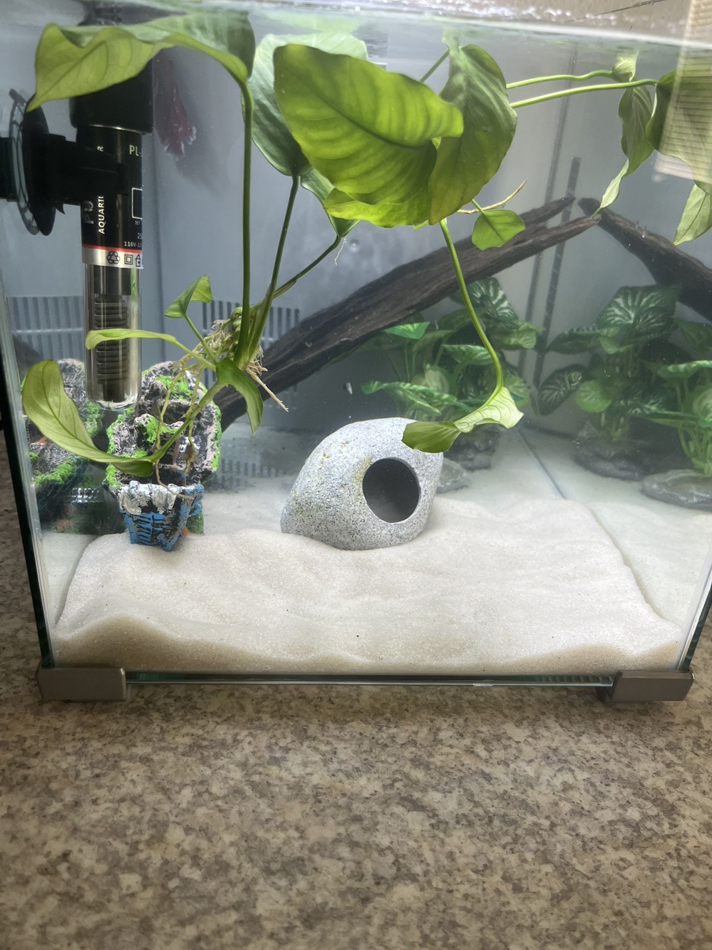 5 Gallon Top Fin Aquarium/ Fish Tank