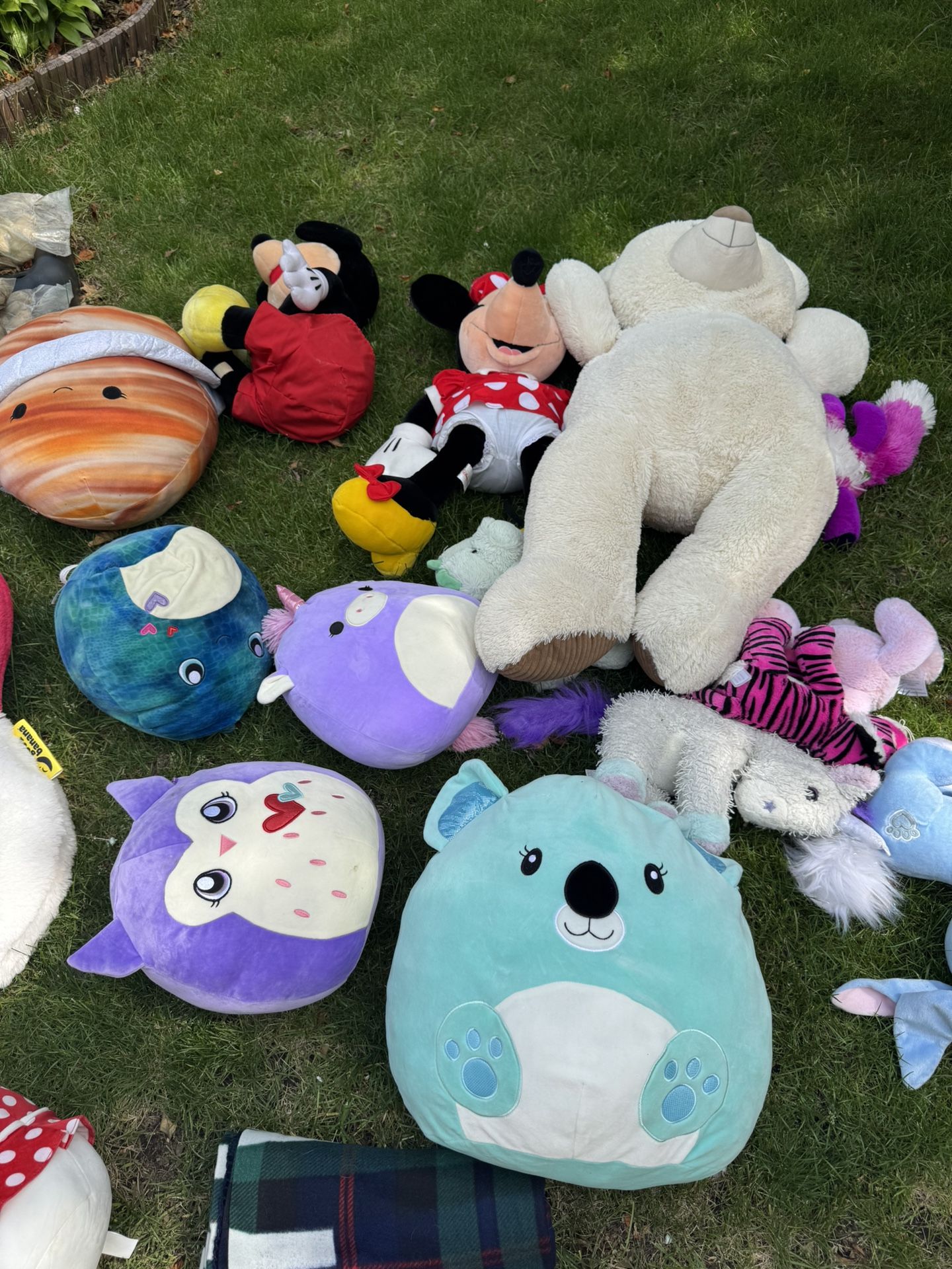 Stuffed Animal Lot
