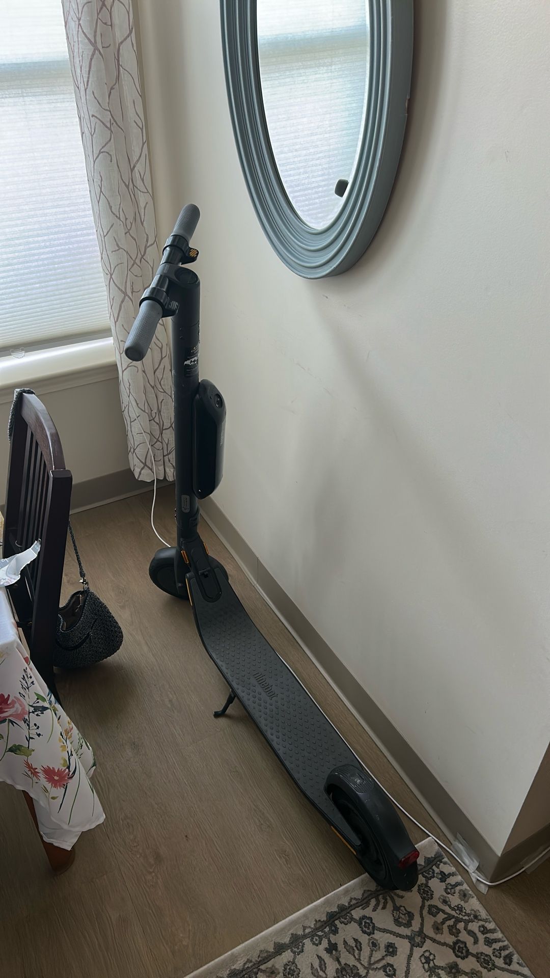 Ninebot Scooter