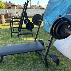 Heavy Duty Powerlifting 1/4” Steel Olympic Squat Rack, 7’ Tree Weight stand And Bench Press