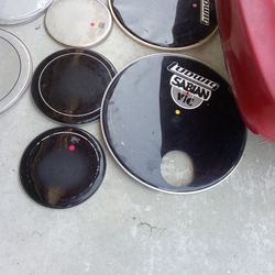 Drum Heads