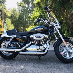 2016 Harley Davidson XL1200c Sportster