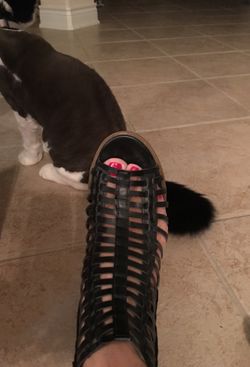Summer shoes.