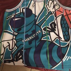  Mitchell & Ness Charlotte Hornets Jersey 5xl