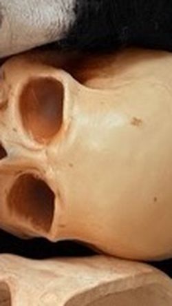 Halloween Skull Prop Orange