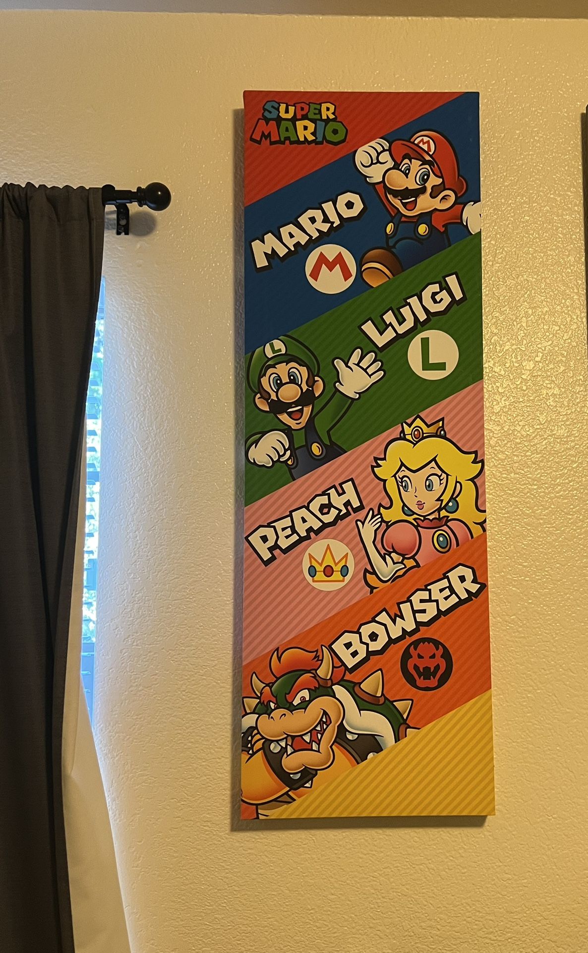 Mario And Sonic Canvas