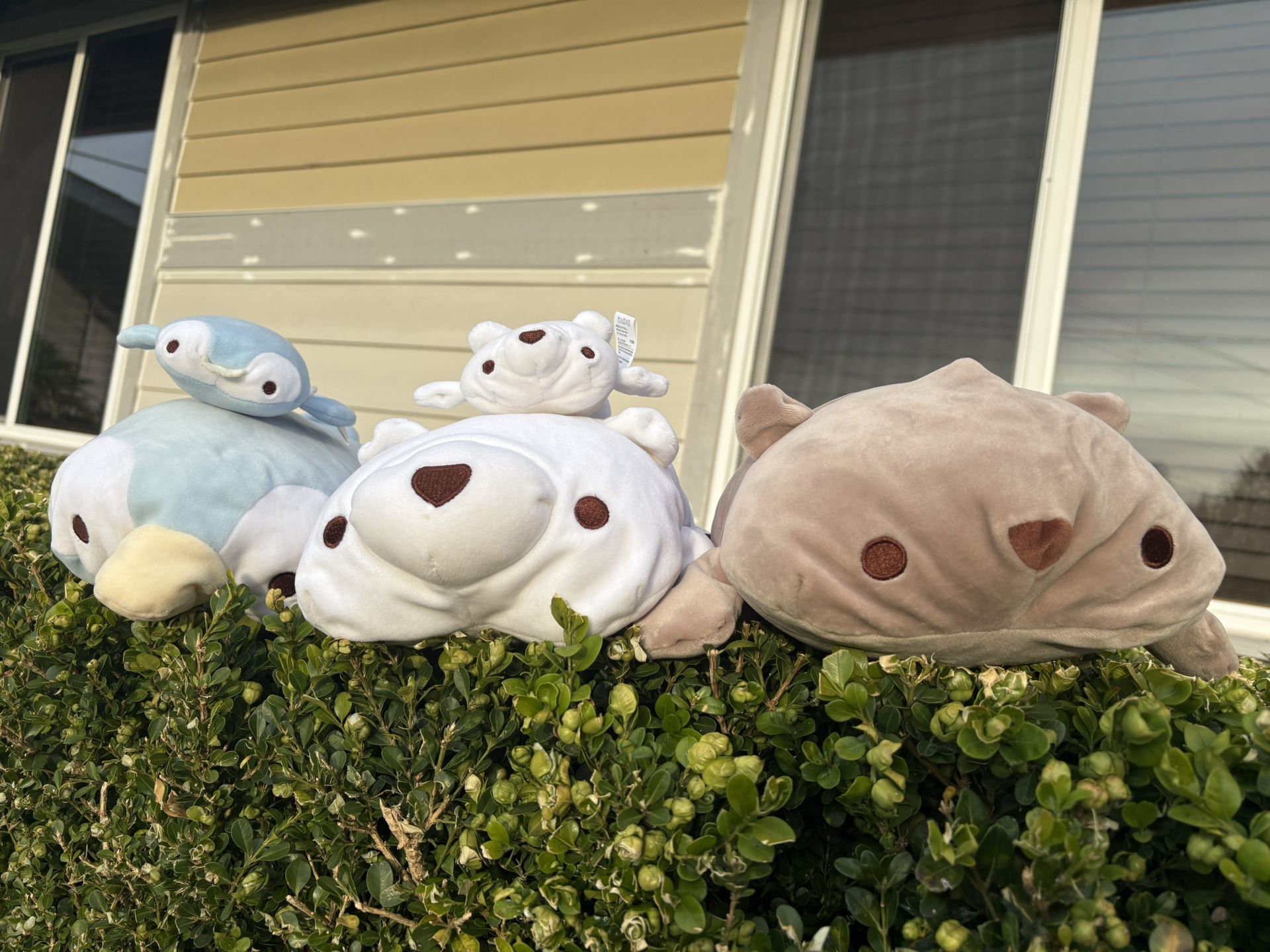 Toy Plushies