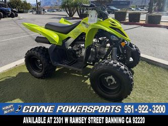 2026 Yamaha Raptor 110