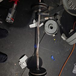 Curved Bar  Small Hole With 4 5lb Plates N Clip