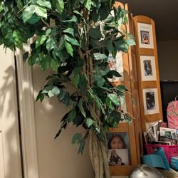 Very Beautiful Artificial Plant $50.00 5 Ft