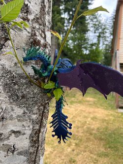 Dragons
