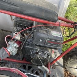 Mini Bike $600 Firm Needs Rear Tire