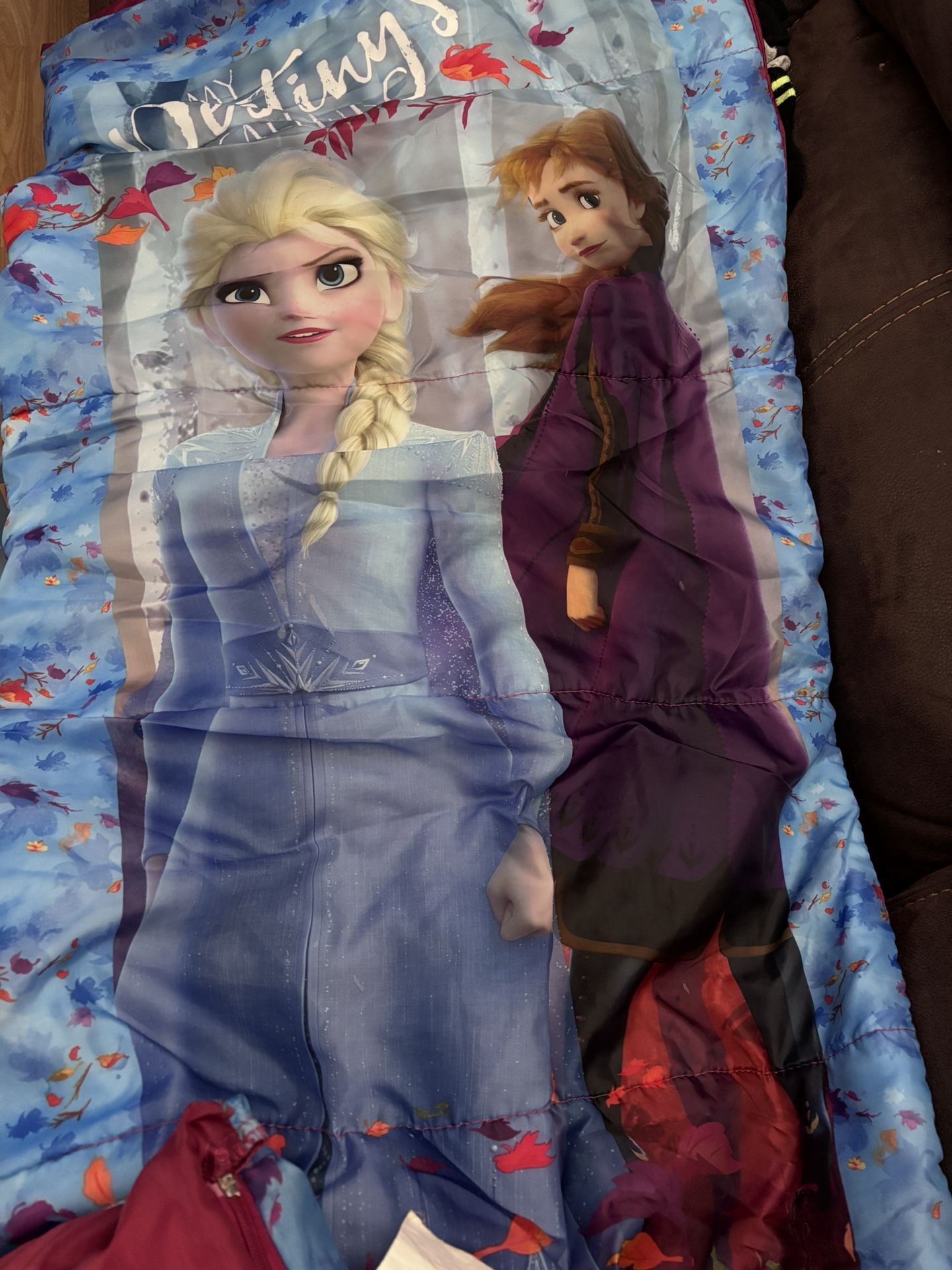 Frozen Sleeping Bag