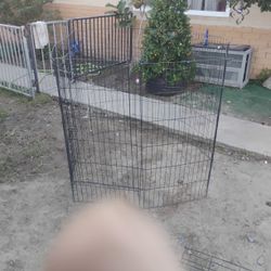 Dog Pen 