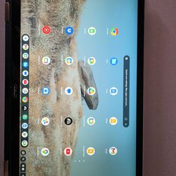 2021 Asus Touchscreen Chromebook