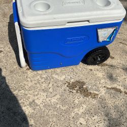 Coleman Cooler