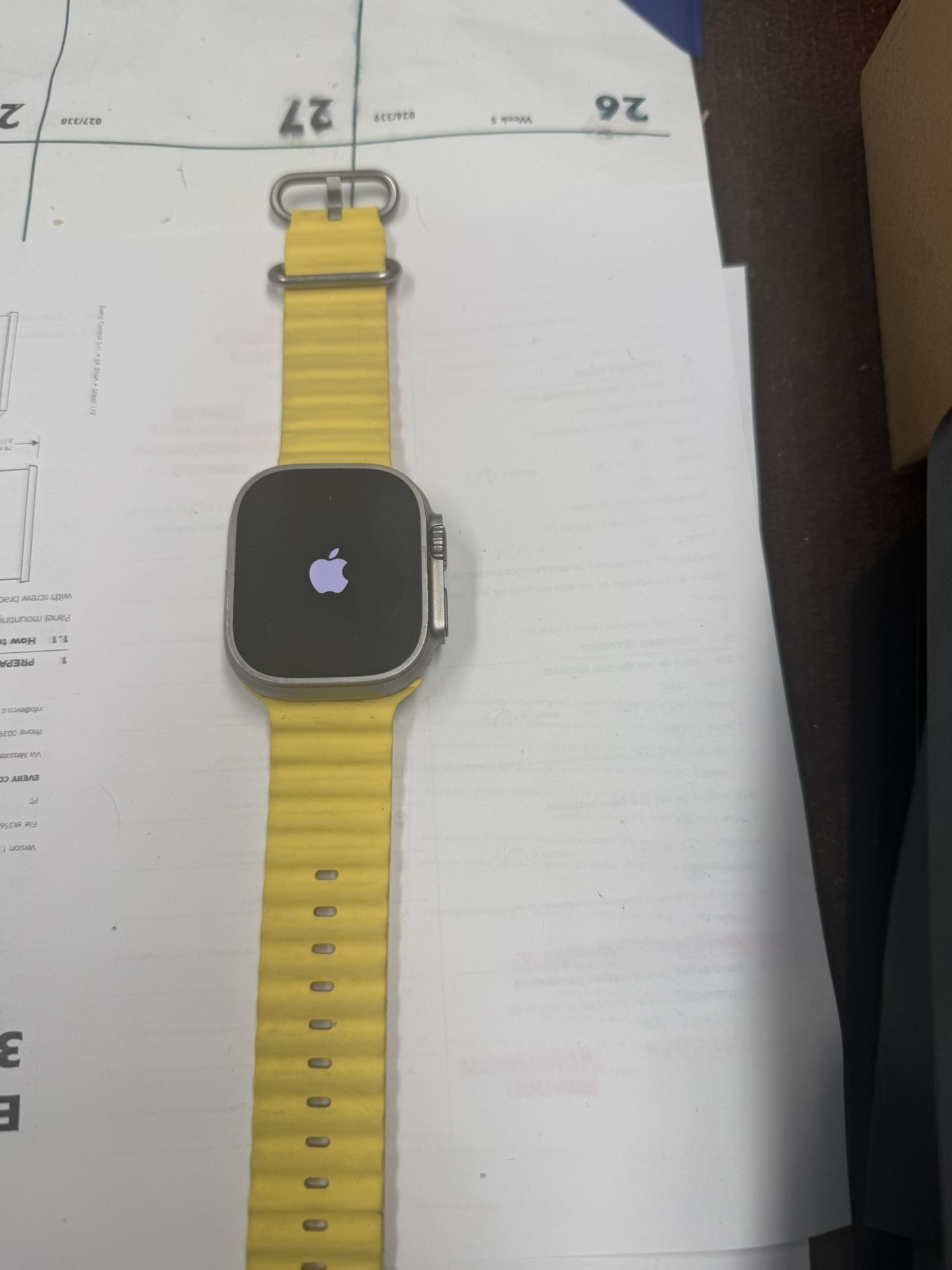 Apple Watch Pro Titanium