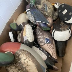 Wooden Ducks