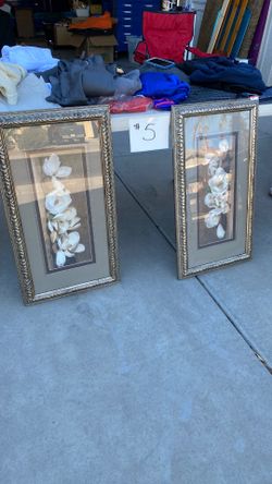 Frames Flower Prints 