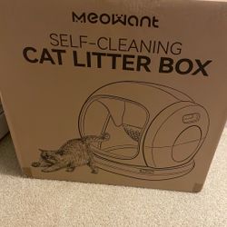 Cat Litter Box