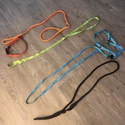Assorted Dog Leashes