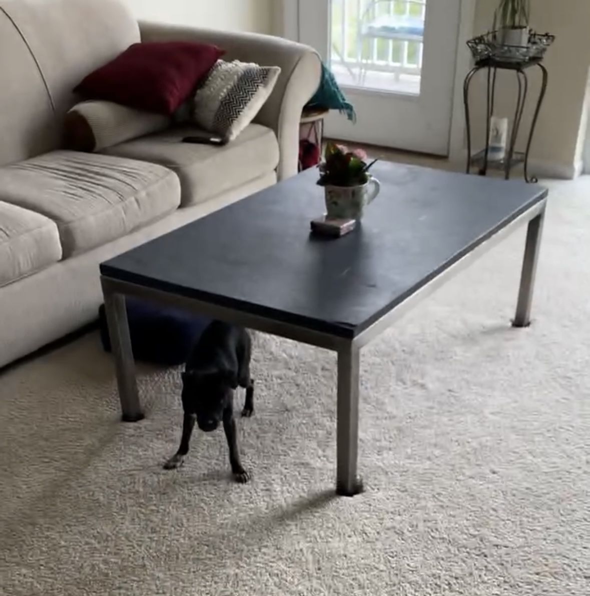 Arhaus Coffee Table $150 or Best Offer