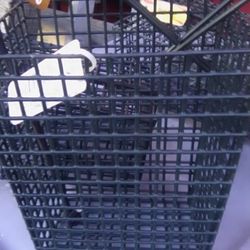 Crab Bate Feeding Containers