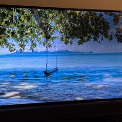 50” VIZIO TV (Read Description)